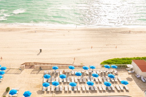 Sunny isles beach plus size dating site Sunny isles beach plus size dating site