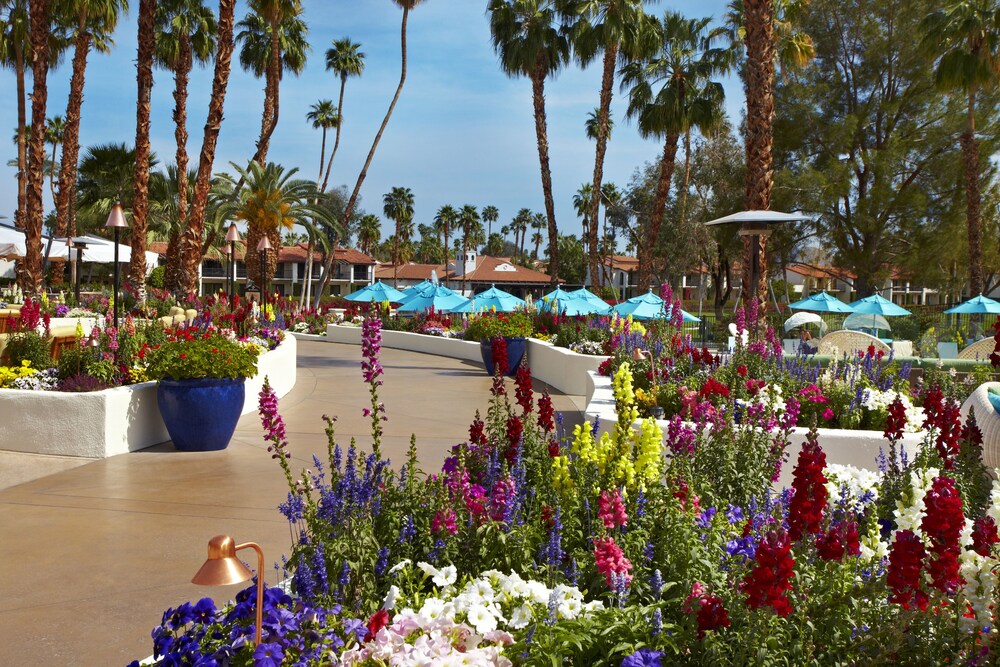 P F Chang Rancho Mirage Hours Christmas 2022 Omni Rancho Las Palmas Resort & Spa, Rancho Mirage: Info, Photos, Reviews |  Book At Hotels.com