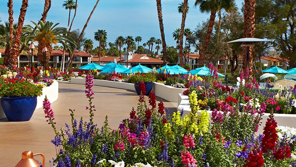 P F Chang Rancho Mirage Hours Christmas 2022 Omni Rancho Las Palmas Resort & Spa, Rancho Mirage: Info, Photos, Reviews |  Book At Hotels.com