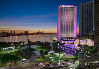 Top 10 Hotels In Miami Florida Resorts In Miami