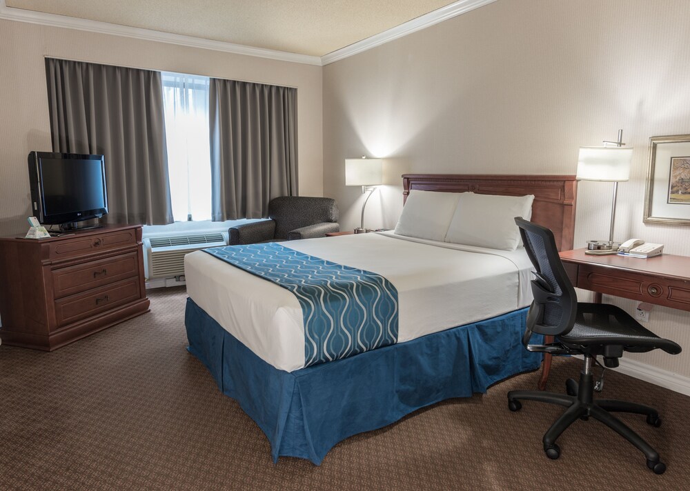 Capital Hill Hotel And Suites Ottawa Info Photos Reviews Book Capital Hill Hotel And Suites Ottawa Info Photos Reviews Book At Hotels