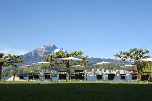 Book Seehotel Hermitage In Lucerne Hotels Com