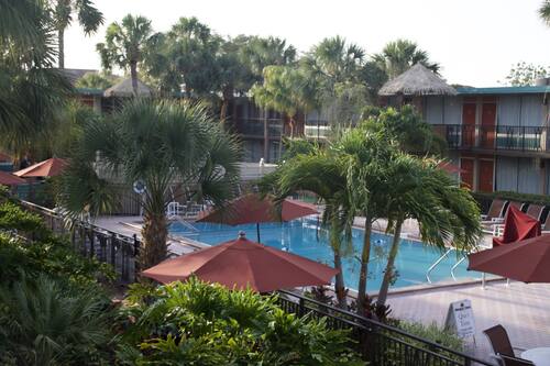 Book The Suites At Magic Tree In Kissimmee Hotels Com Book The Suites At Magic Tree In Kissimmee Hotels Com