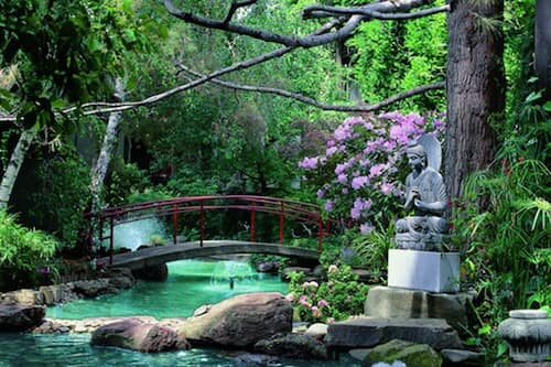 Dinahs Garden Hotel Reviews / 91sll7scqccmlm / A free inside look at