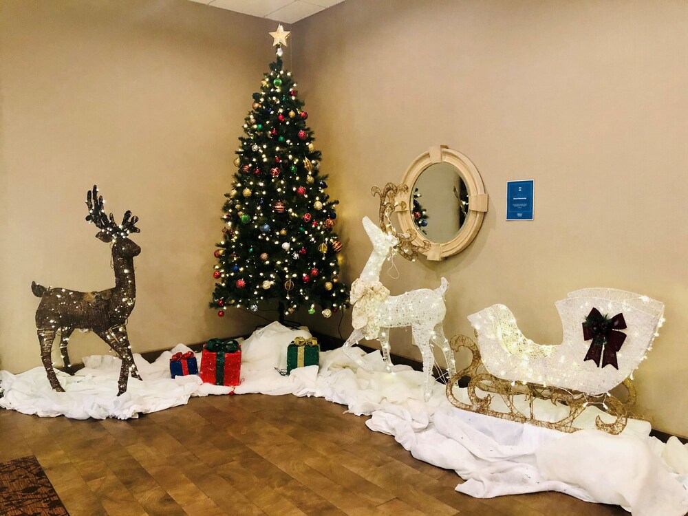 Book Doubletree By Hilton Hotel Flagstaff In Flagstaff Hotels Com