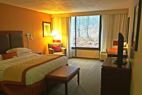 احجز فندق ويندهام جاردن بطسبرج آيربورت في بيتسبورغ قارن أسعار الفنادق في بيتسبورغ احجز فندق ويندهام جاردن بطسبرج آيربورت في بيتسبورغ قارن أسعار الفنادق في بيتسبورغ