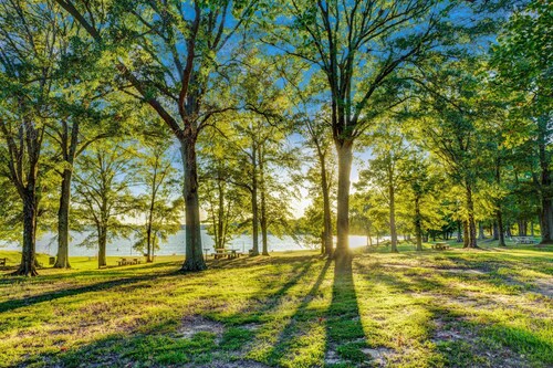 Top Hotels In Hernando Mississippi - Cancel Free On Most Hotels Hotels Com