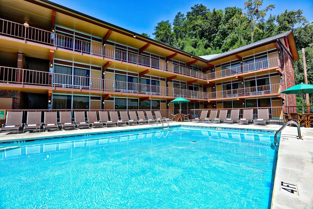 Book Wild Bear Inn In Pigeon Forge Hotels Wild Bear Inn Pigeon Forge
