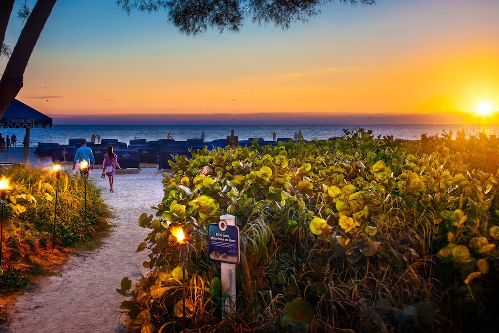 Book Guy Harvey Outpost A Tradewinds Beach Resort In St Pete Guy Harvey Outpost A Tradewinds Beach Resort St Pete