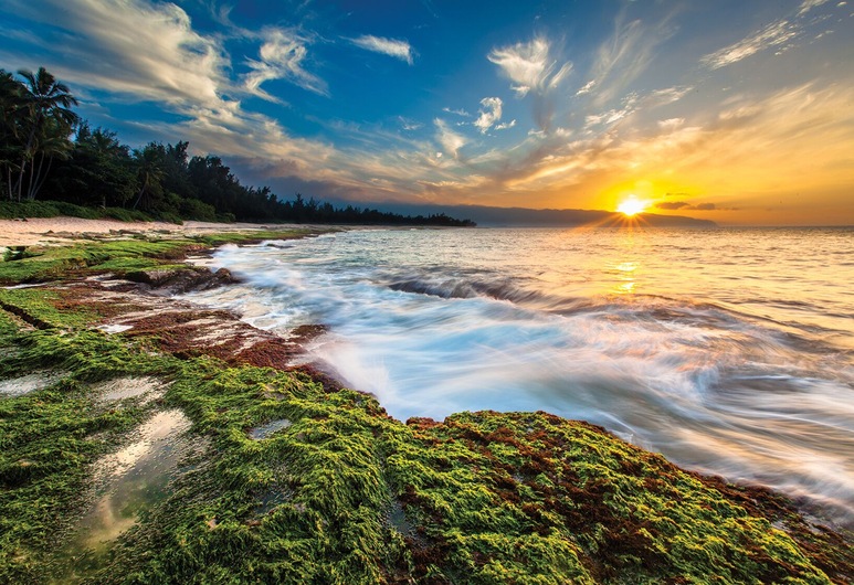 Club Wyndham At Waikiki Beach Walk Honolulu Hawai Hoteles En Honolulu Hoteles Com Club Wyndham At Waikiki Beach Walk Honolulu Hawai Hoteles En Honolulu Hoteles Com