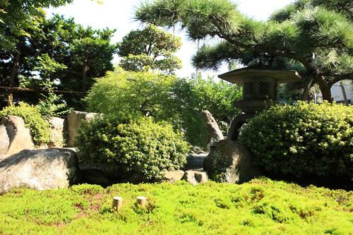 ベルビューガーデンホテル 関西国際空港 空港シャトルバスを運営する立地が良いホテル 宿泊予約はホテルズドットコム ベルビューガーデンホテル 関西国際空港 空港シャトルバスを運営する立地が良いホテル 宿泊予約はホテルズドットコム