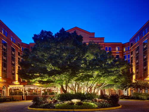 Top Pet Friendly Hotels In Auburn Alabama Hotelscom