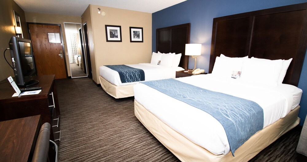 Comfort Inn O Hare Convention Center Hotel Chicago Il Deals Photos Reviews