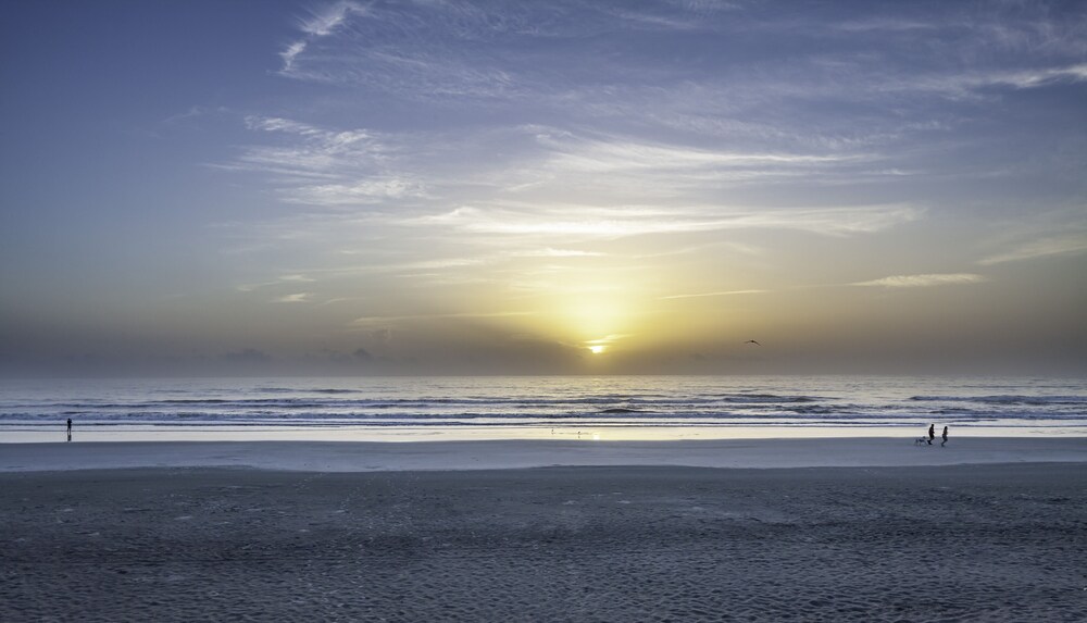 Book Best Western New Smyrna Beach Hotel Suites In New Smyrna Beach Hotels Com