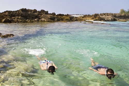 ハイアット リージェンシー ワイキキ ビーチ リゾート アンド スパ クヒオビーチ パークから近く ビーチに位置する高級リゾート 宿泊予約はホテルズドットコム