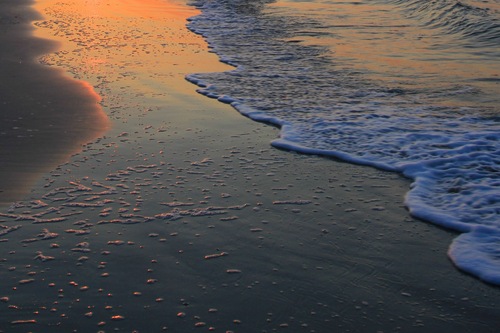 Holiday Inn Resort Beach House Hilton Head Island Hotels Com
