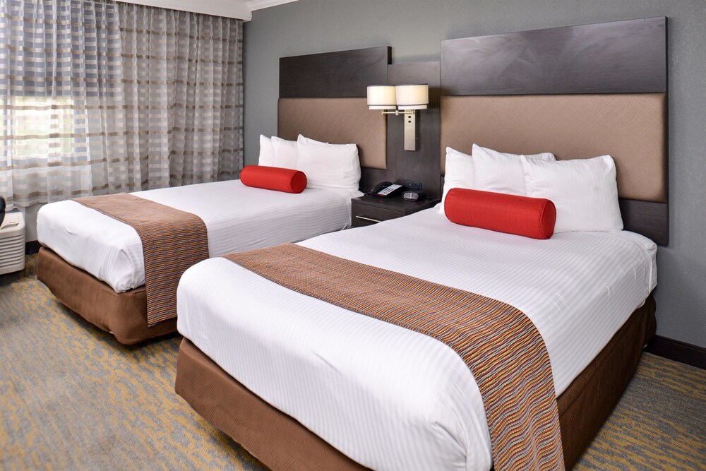 Book Best Western At O Hare In Rosemont Hotels Best Western At O Hare Rosemont Standard Room 2 Double Beds