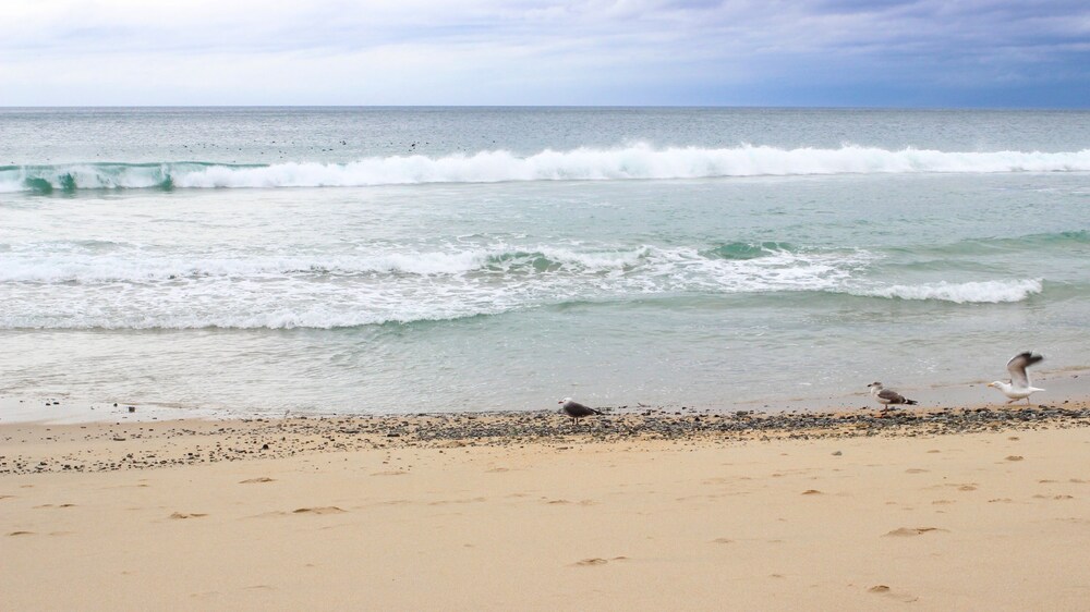 Book Monterey Tides in Monterey