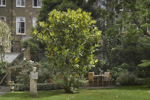 Book K K Hotel George Kensington In London Hotels Com