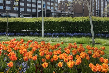 Picture of Danubius Hotel Regents Park in London
