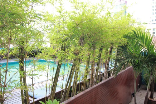 Book Marvel Hotel Bangkok In Bangkok Hotels Com Book Marvel Hotel Bangkok In Bangkok Hotels Com