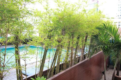 Book Marvel Hotel Bangkok In Bangkok Hotels Com Book Marvel Hotel Bangkok In Bangkok Hotels Com