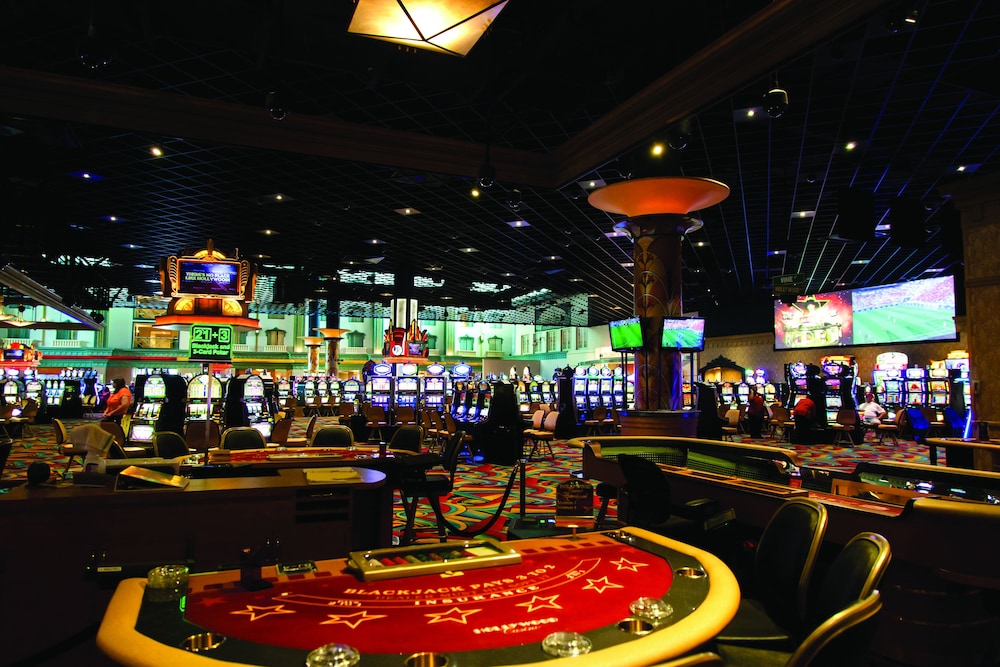 Tunica Tunica