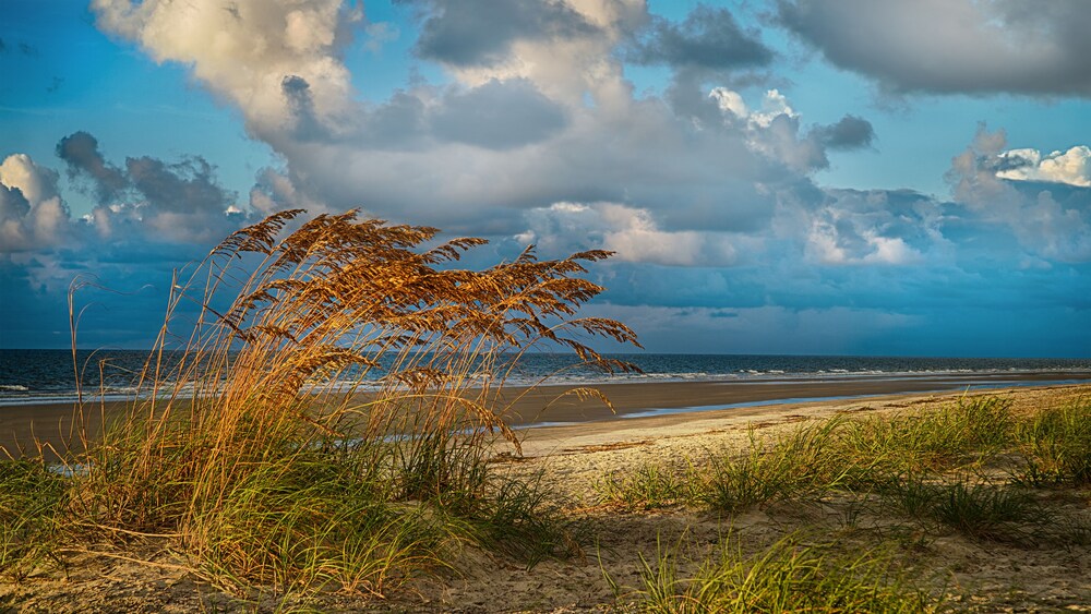 ディズニーズ ヒルトン ヘッド アイランド リゾート ヒルトン ヘッド の宿泊予約 ホテルズドットコム