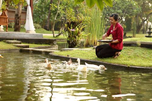 Nusa Dua Beach Hotel Spa Nusa Dua Hotels Com Nusa Dua Beach Hotel Spa Nusa Dua Hotels Com