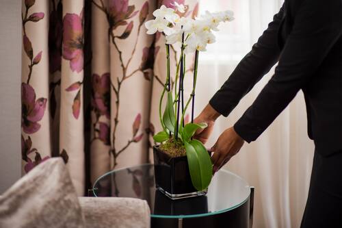 the westbury mayfair a luxury