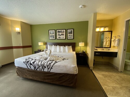 Top Pet Friendly Hotels In Grand Rapids Michigan Hotelscom