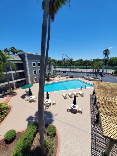 Finden Sie Hotels Nahe Lowry Park Zoo Tampa Hotels Com