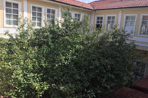 Antik Han Hotel Special Class Izmir Hotels Com