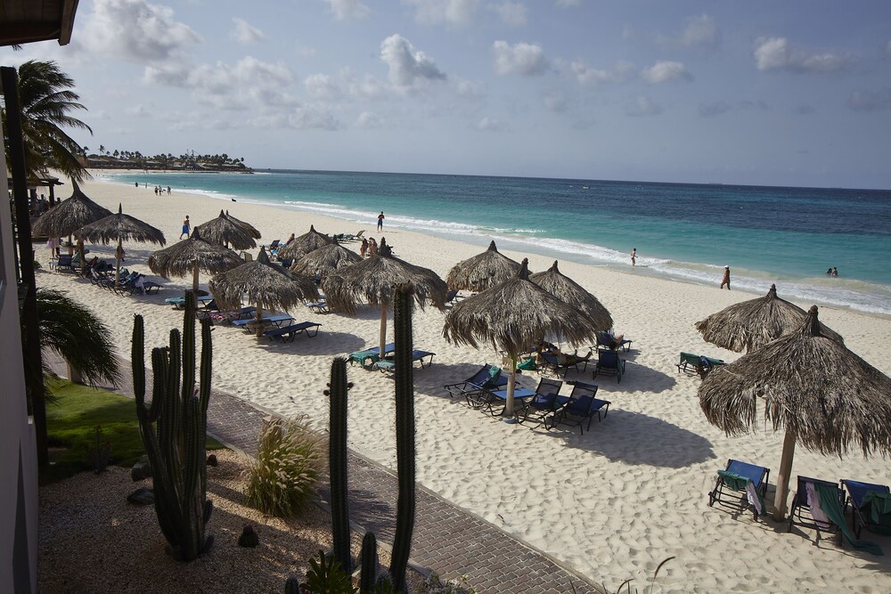 迪威荷兰村海滩度假村预订, 2019奥拉涅斯塔德迪威荷兰村海滩度假村