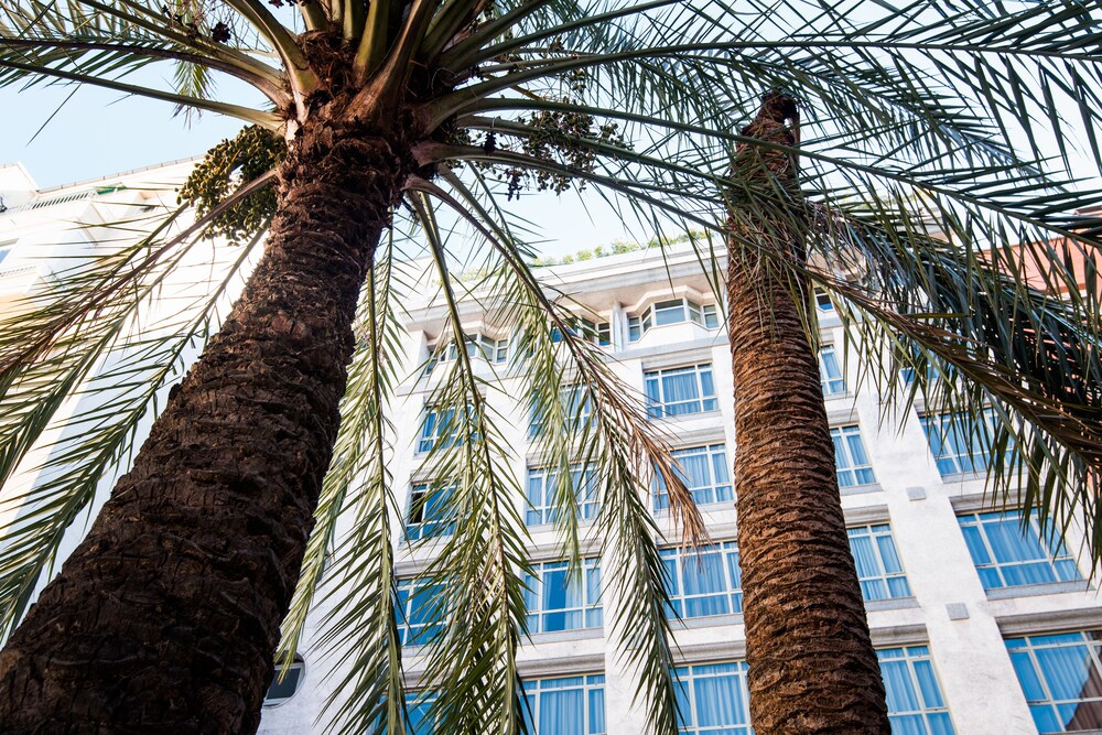 Book Vp El Madrono In Madrid Hotels Com