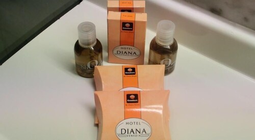 Book Hotel Diana In Venice Hotels Com