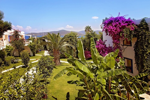 Mavi Suite Turkbuku Bodrum Hotels Com