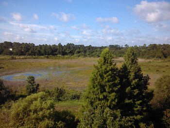 Top 10 Hotels In Orange City Lake County Hotels In Orange City