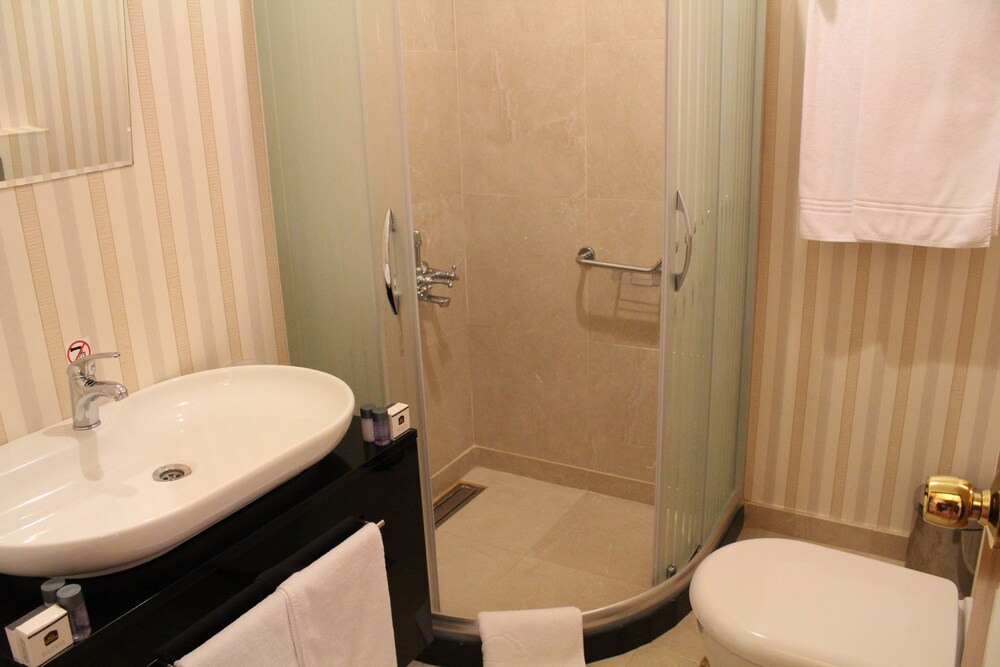 Bakirkoy Tashan Business Airport Hotel Istanbul Hotels Com