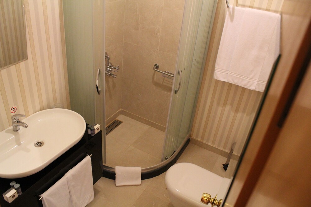 Book Bakirkoy Tashan Business Airport Hotel In Istanbul Hotels Com