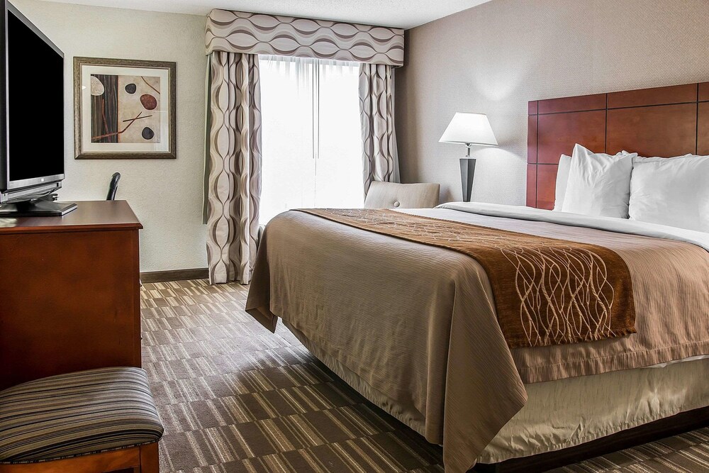 Book Comfort Inn Suites University South In Ann Arbor Hotels Com