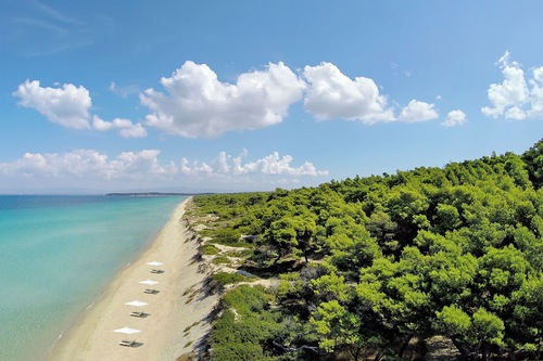 Book Sani Beach In Kassandra Hotels Com