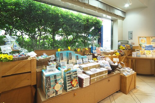 茅ヶ崎 サザン ビーチちがさき 周辺のホテル 宿泊予約 格安ホテル予約 最安値検索 ホテルズドットコム