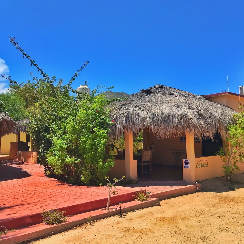 Book Bungalows Cabo Pulmo In Cabo Pulmo Hotels Com