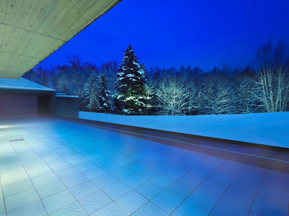 Book Hoshino Resorts Risonare Tomamu In Shimukappu Hotels Com