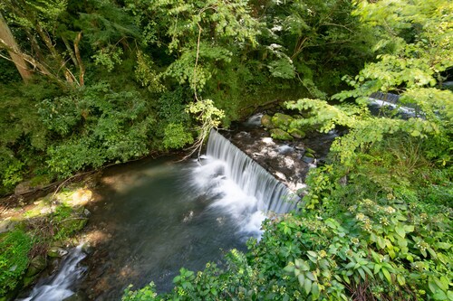 箱根 箱根小涌園ユネッサン 周辺のホテル 宿泊予約 格安ホテル予約 最安値検索 ホテルズドットコム