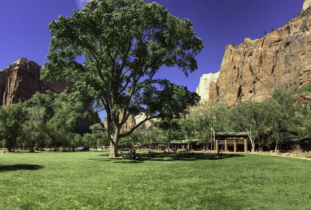 Zion Lodge Dining Room - Cable Mountain Lodge Hotel Suites At Zion National Park / From au$235 per night on tripadvisor: