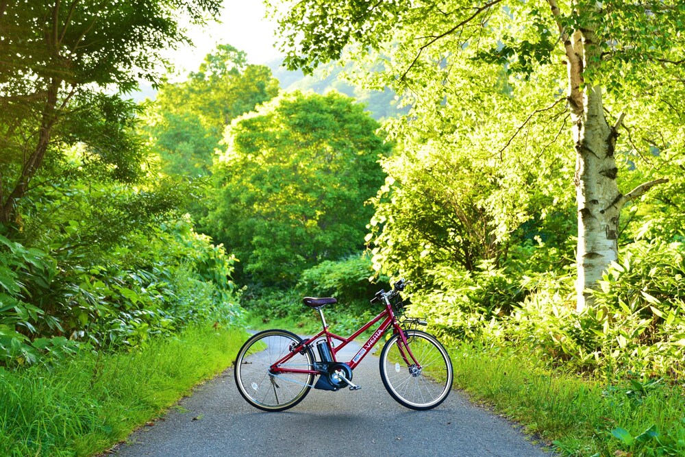 ホテル鹿の湯 - ゆっくり過ごせる定山渓の温泉旅館|宿泊予約は