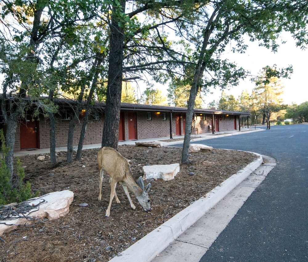 Book Yavapai Lodge Inside the Park in Grand Canyon Book Yavapai Lodge Inside the Park in Grand Canyon