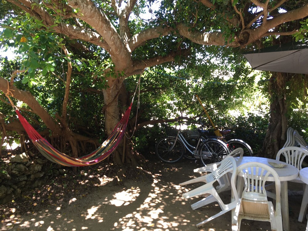 竹富島ゲストハウス ジュテーム 竹富 の宿泊予約 ホテルズドットコム